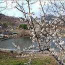 고향산촌 이미지