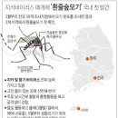 그래픽바이러스