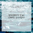 서울더스마일치과의원 이미지