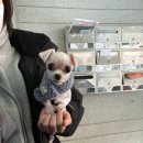 신안동12 이미지