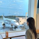 1471 | 동유럽 <핀에어1471 AY1471> 핀란드 헬싱키에서 오스트리아 빈까지 탑승후기