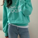 비보루즈 이미지