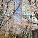 사계절하우스+부동산중개 | (부동산매매)천안 신방한성필하우스 아파트 알아보기