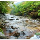 호박소가는길 이미지