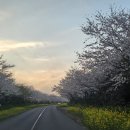 토산농장 이미지