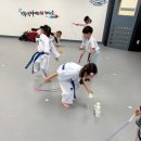 백석아이스타 태권도장 이미지