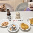멍이냥식 | 파주강아지케이크 멍이냥식 에서 강아지생일파티세트 예약했어요!