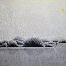 2024 찾아가는 도립미술관 이미지