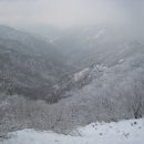 은선