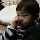 싸다 돼지마을 이미지