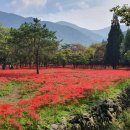 새춘천주유소 이미지