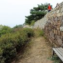 산성가축 이미지