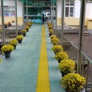 남성 초등학교 병설 유치원 이미지