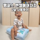 여름 팬티기저귀 15개월아기 2달 사용후기 팸퍼스 엔젤에어차차