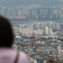 강서구-74 이미지