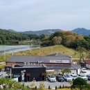 숲속애소 이미지