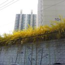 인덕원 삼성 이미지