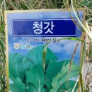 소흘농협경제사업소 이미지