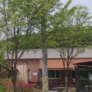 왕림경로당 이미지