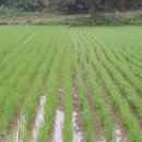 초형농장 이미지