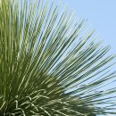 어린이 놀이영어 이미지