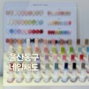울산 동구 젤네일맛집 네일채도 후기