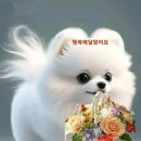 리얼클린족욕(양산점) 이미지