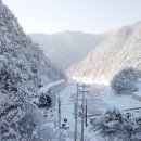 제86차 특별산행 1월14일 둘째 월요일 강원도 눈꽃및 협곡열차 이미지