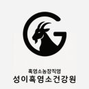 흑염소건강원 - 양구군 금강산로 705-85 | 흑염소건강원