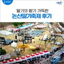 딸기의 향기 가득한 논산딸기축제 후기