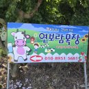 수영목장 | [내돈내산] 김포 아이랑 방학에 가기좋은 곳 추천: 연보람목장(with.53개월 아기)
