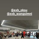 이엑스 복싱(EX BOXING) 이미지