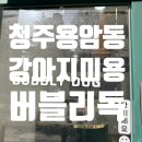 버블리독 이미지