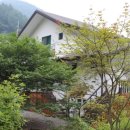 숲속의 산책 이미지