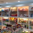 애견백화점 이미지