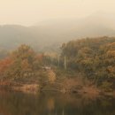 안양판교로 이미지