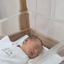 오산세종병원 | 세종 산후조리원 메종플로라 초산모 2주, 9일 대기 후 입소 후기