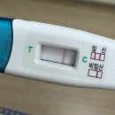 방배4동 | IVF-C 난포주사로 임신준비하기 / 방배열린문화센터 방배보건지소 B형간염 예방접종 2차 후기