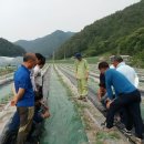 봉화농업기술센터 이미지