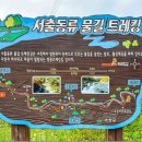 제 91차 정기산행 경남 거창의 월성계곡(서출동류 트레킹) 이미지