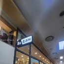 돌고래회
