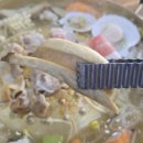 타이무카타 이미지