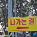 돌머리 696 이미지
