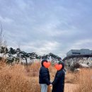 정조농장 | 수원 수목원 영흥수목원 방문 후기 | 겨울에 직접 다녀온 수원 수목원 산책 데이트 후기와 방문 정보