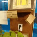 공주애견&Black Dog | 역 카페] 예술적인 감성과 포근함이 공존하는 공간, 아티스트 노벰버(Artist November) 후기 내돈내산