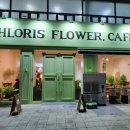 클로리스 플라워(CHLORIS FLOWER)
