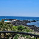 제주도게스트하우스파티바랑쉬성산점 네이버블로그