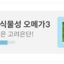 팬비즈여행사