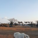 법환마을회관 이미지