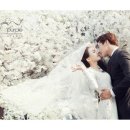 행복한웨딩퍼플스튜디오